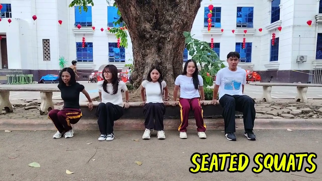  Posture, Mobility, Flexibility, and Stress Reduction with Seated Strength Exercises