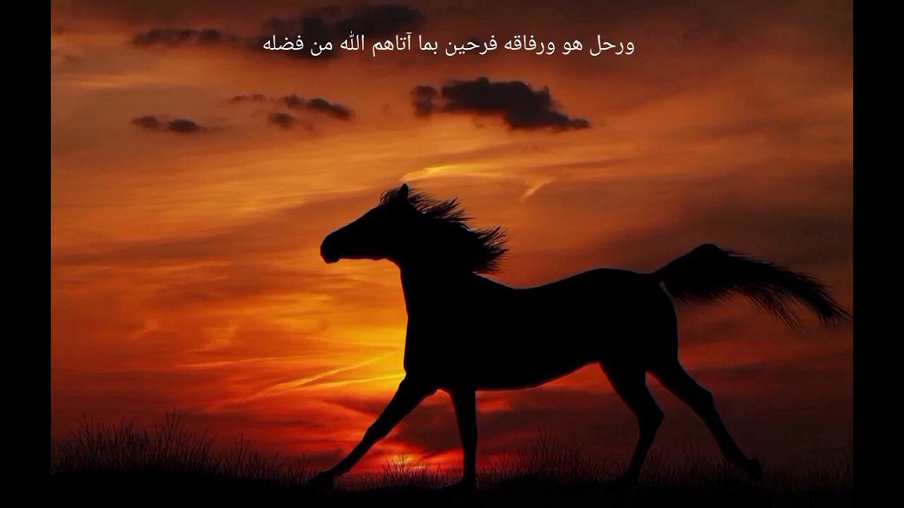 نشيدان أتذكر يا ابن الصيد و عذرا ابا العباس في رثاء ابو الزبير انشاد ابو أسيد و أسامة الأحمد