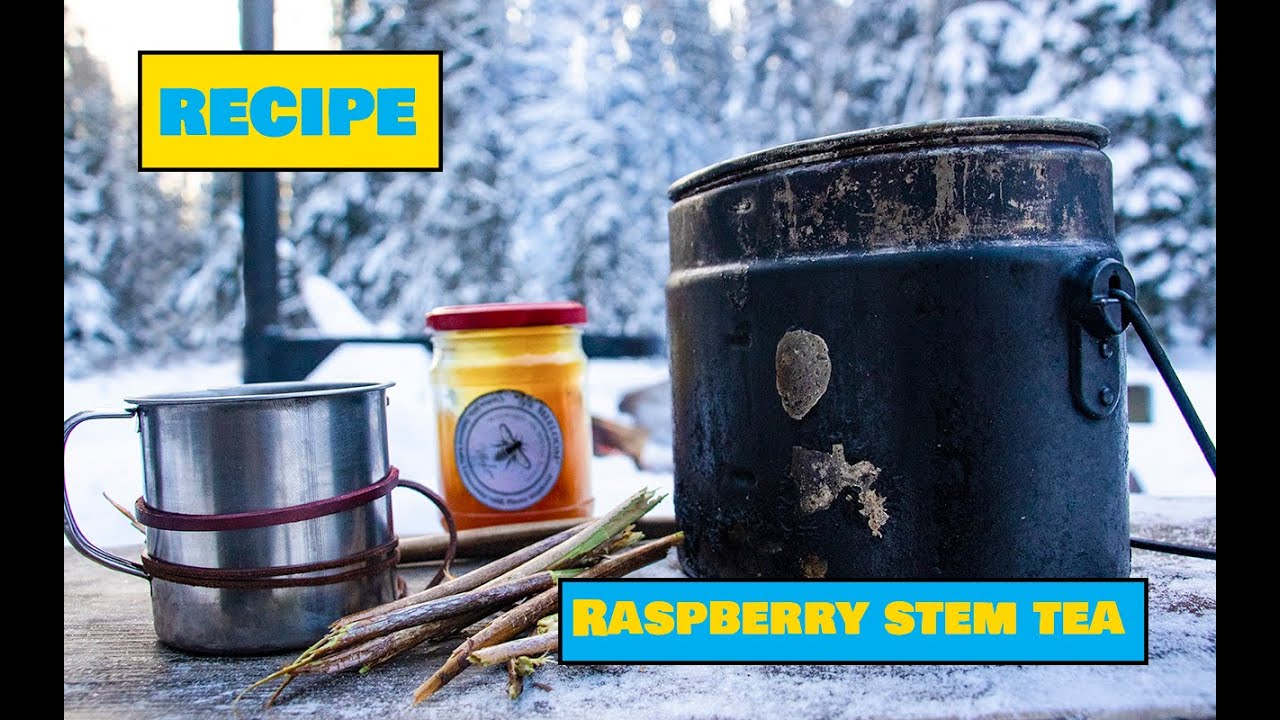 How to Make Raspberry Stem Tea - Easy Outdoors Drinks