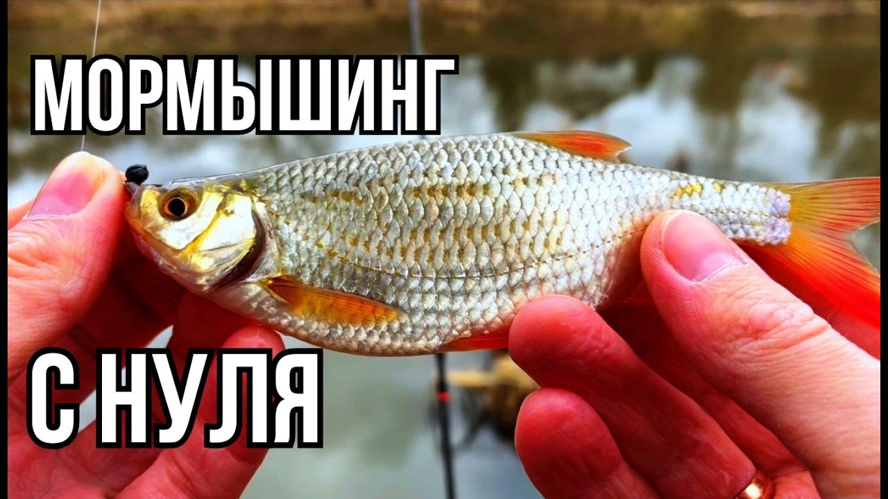 Мормышинг с нуля. Первый раз с Олта Колибри и Dayo Prestige 800. Тест на плотве
