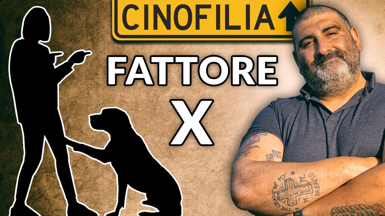 Il Fattore X nel cane. Qual è la persona che LUI ha scelto?