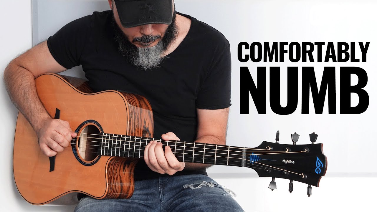 Pink Floyd Comfortably Numb... But It's a 10 Minutes Acoustic Guitar Solo! Lag HyVibe Smart Guitar