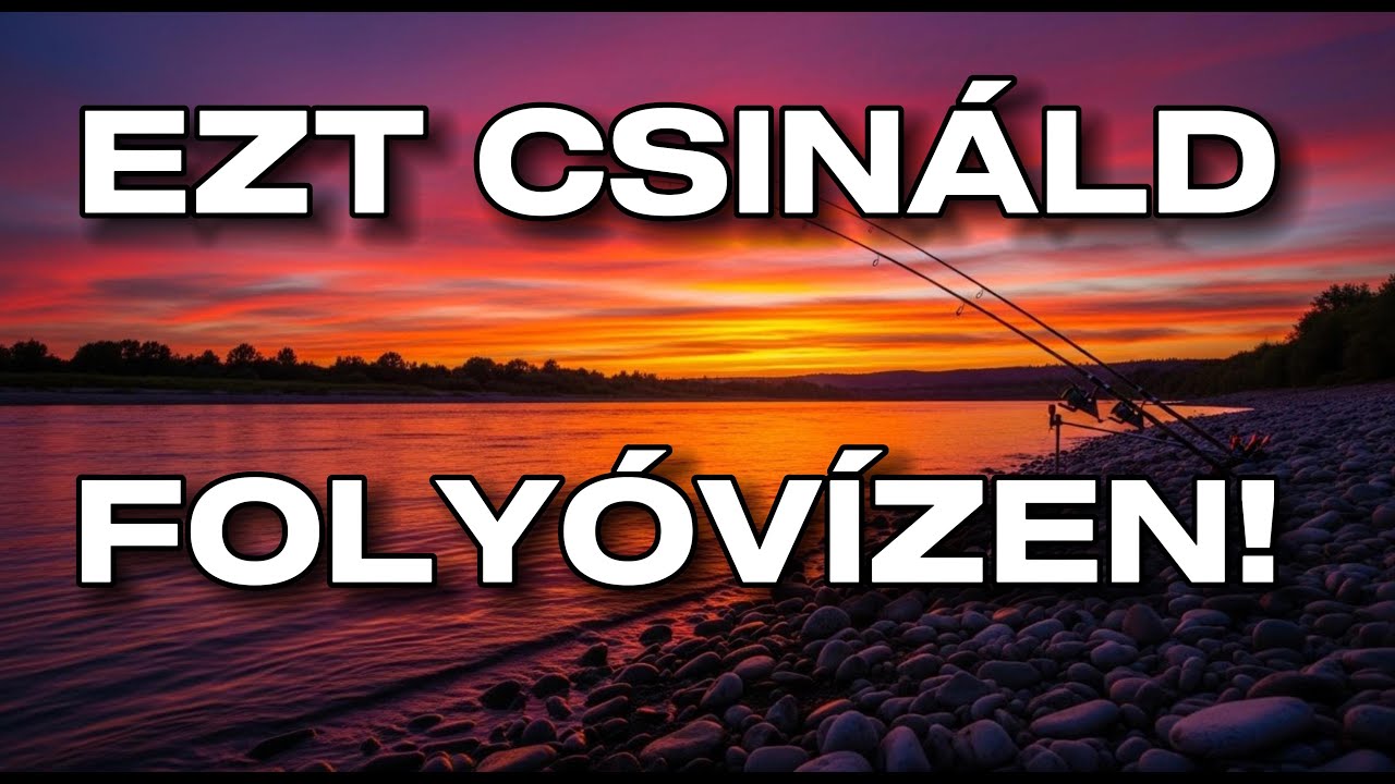 Folyóvízi horgászat alapjai🎣 – 1.rész  A tökéletes hely kiválasztása!