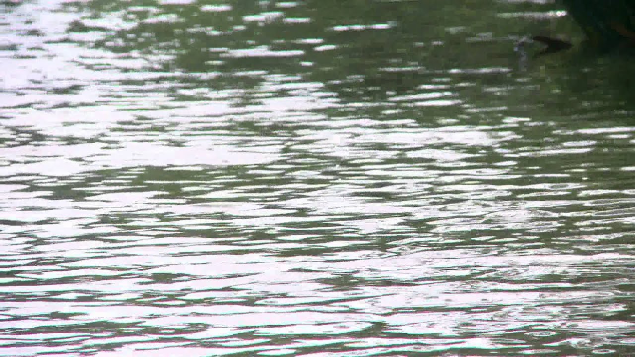 Video shows Lake Michigan waterspout from formation | Close Up Lake