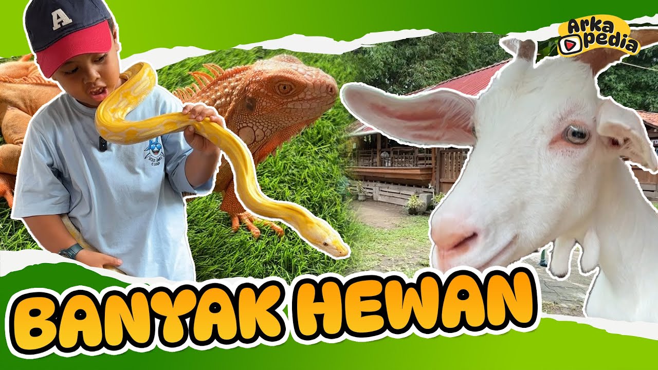AKU MAIN KE EQUINOX JAM'S FARM !! 😎😎 | VLOG SAMBIL MAIN BARENG HEWAN HEWAN LUCU 🐐🐐🐐