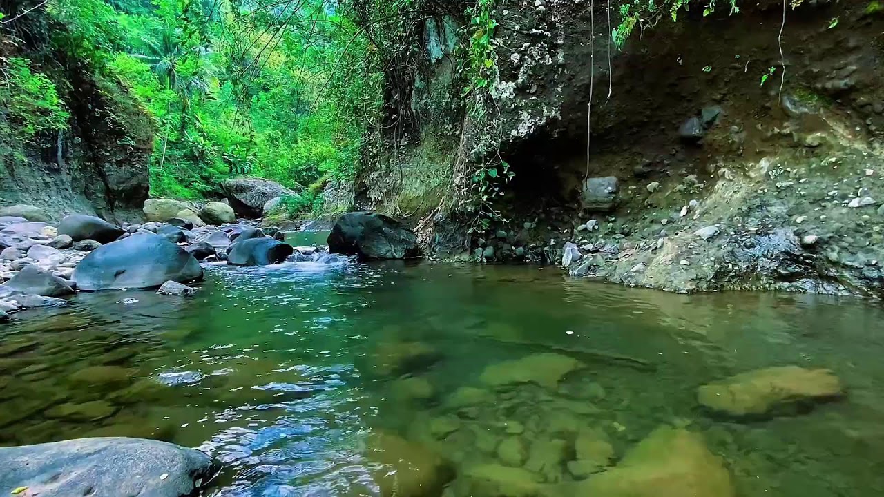 Forest River Flowing Ambience, Mountain Stream Water, Sleep