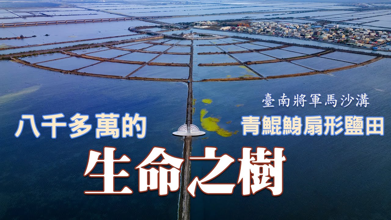 【空拍】八千多萬的「生命之樹」青鯤鯓扇形鹽田-鹽業史上最後一個鹽場-臺南將軍馬沙溝3D彩繪村《鄉鎮輕旅Travel at will in Township》