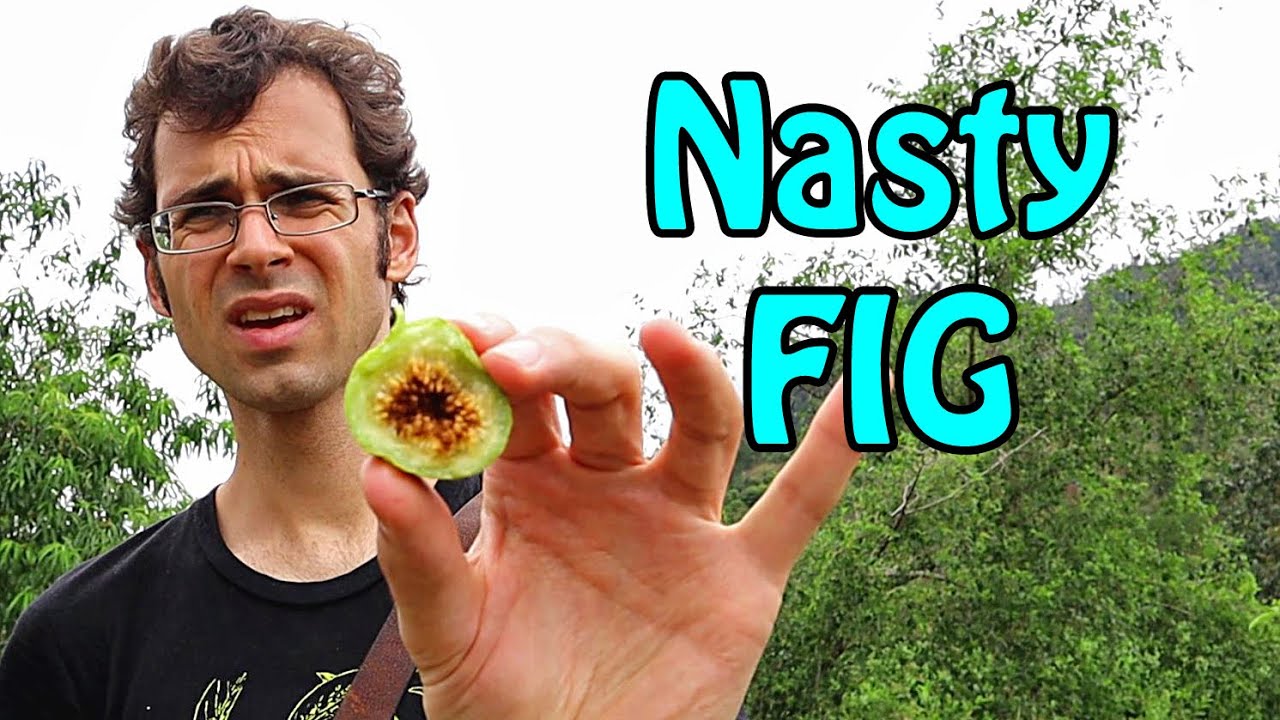 FORAGING  for Rare fruit in Madagascar - Weird Fruit Explorer Ep. 375