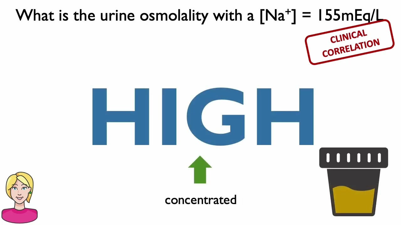 Water Handling and ADH Explained — How the Kidneys Regulate Osmolality (Renal Physiology)