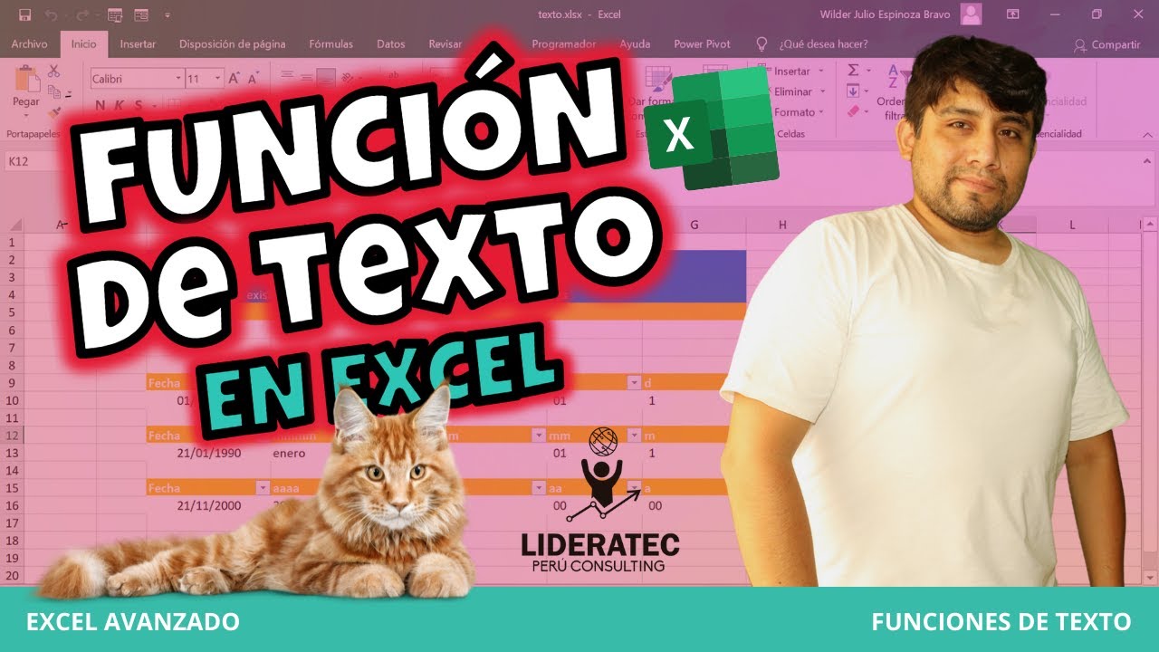 Función de TEXTO en Excel