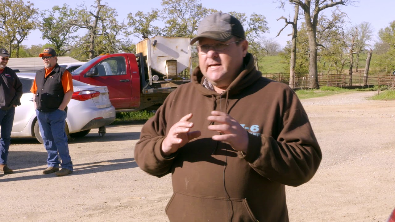 Cattle management & vaccinations