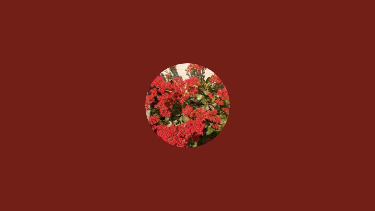Shobha garden is live