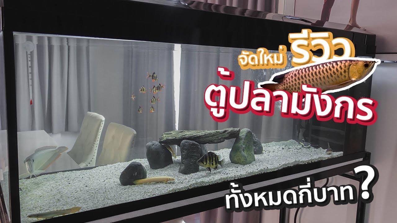 รีวิวตู้ปลามังกร Arowana จัดใหม่สไตล์ตู้ปลาทะเล!