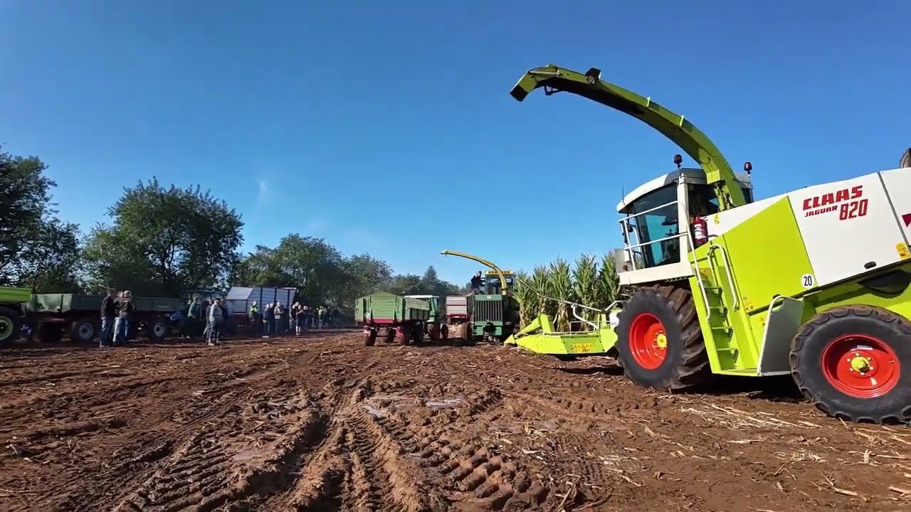 Youngtimer Feldtag Nordhorn 2024(sound)MB-Trac/Unimog/Fendt/John Deere/IHC/Case/Ford/Claas/Deutz