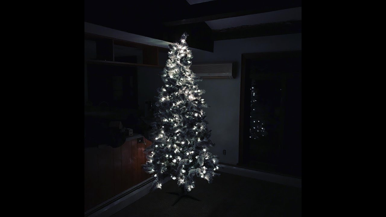 The Black, White and Gold Tree   HD 720p