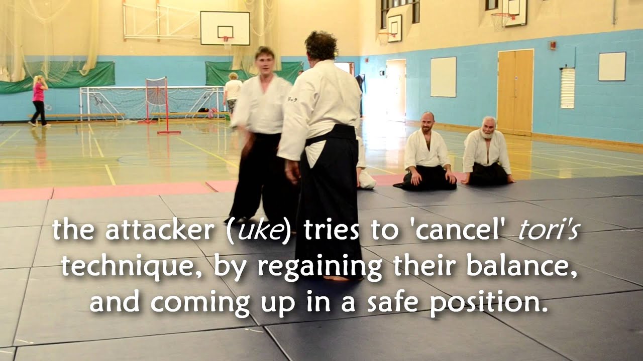 South Devon Aikikai weekend course 27th & 28th July 2013