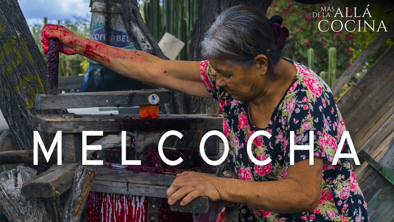 ELABORACI&Oacute;N DE MELCOCHA | PRESA SAN AGUST&Iacute;N | SAN LUIS POTOS&Iacute;