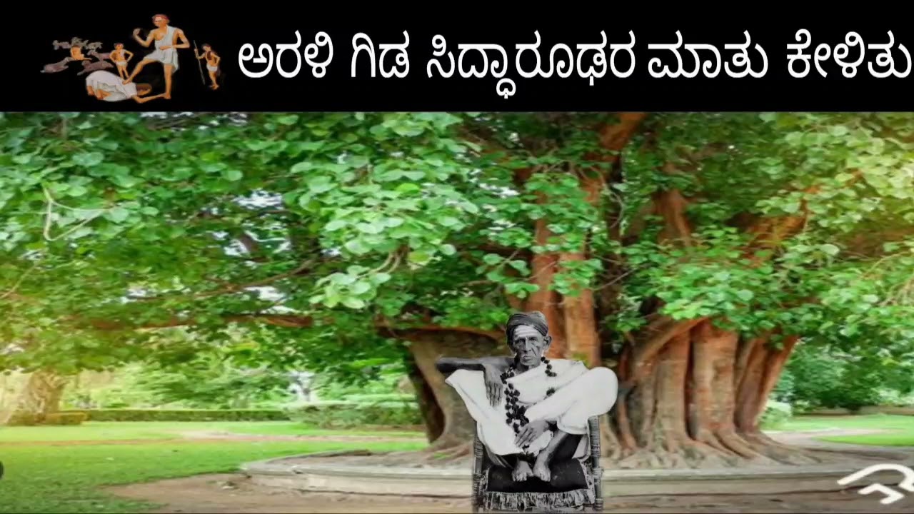 ಹೆಜ್ಜೆ ಹೆಜ್ಜೆಗೂ ಪವಾಡ ಮಾಡಿದ ಸದ್ಗುರು ಸಿದ್ಧಾರೂಢರು Siddharoodha Swamyji