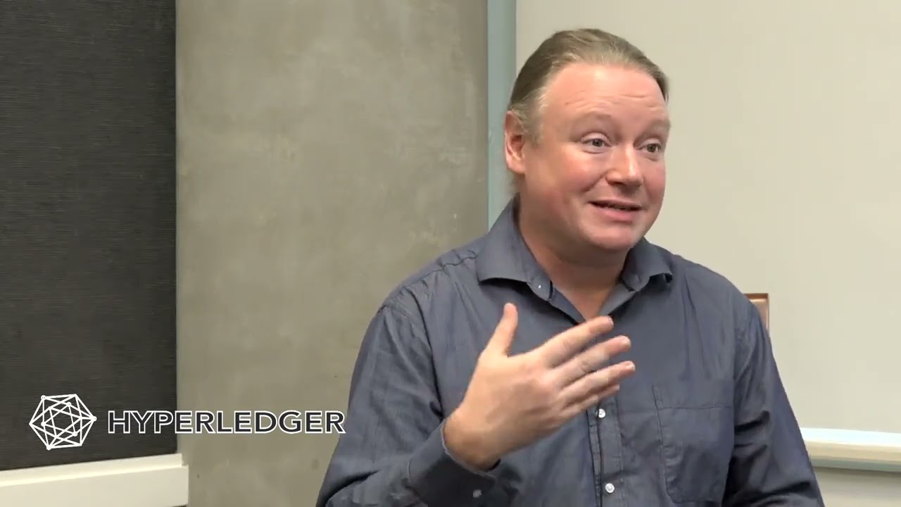 Software Governance of the Hyperledger Projects