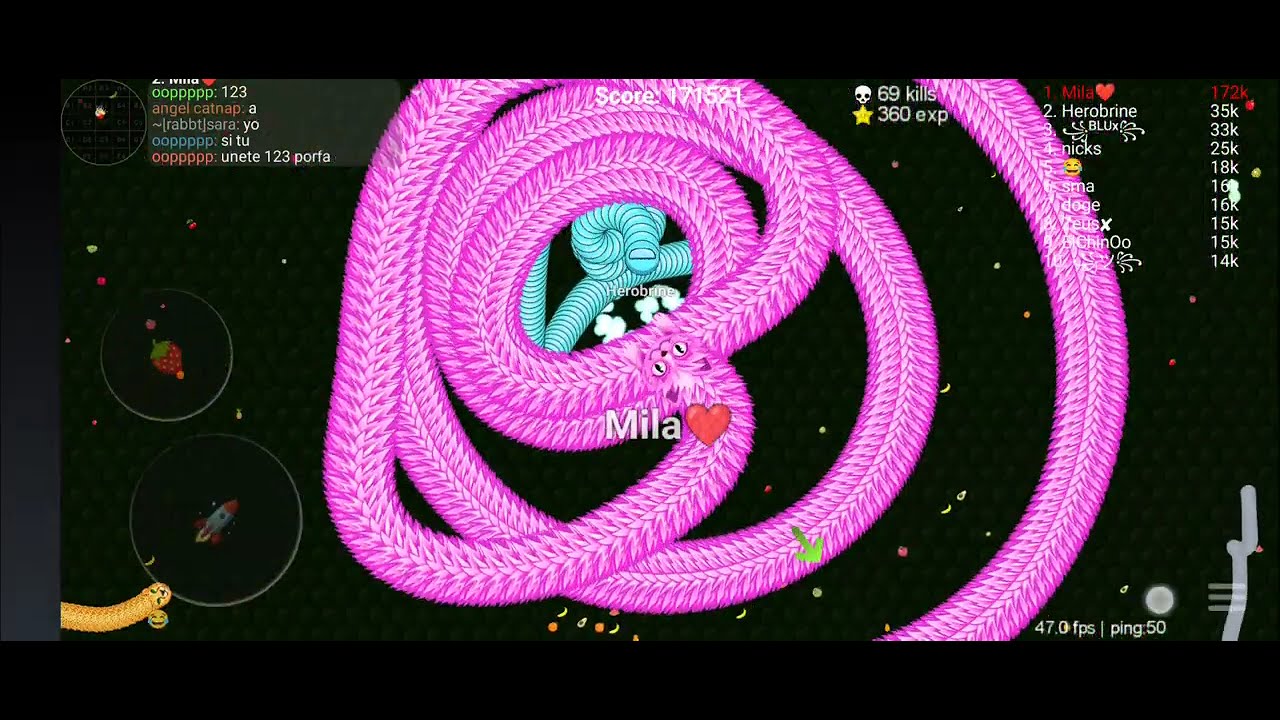 My Viper.IO Personal Best: 276K With Pink Cat