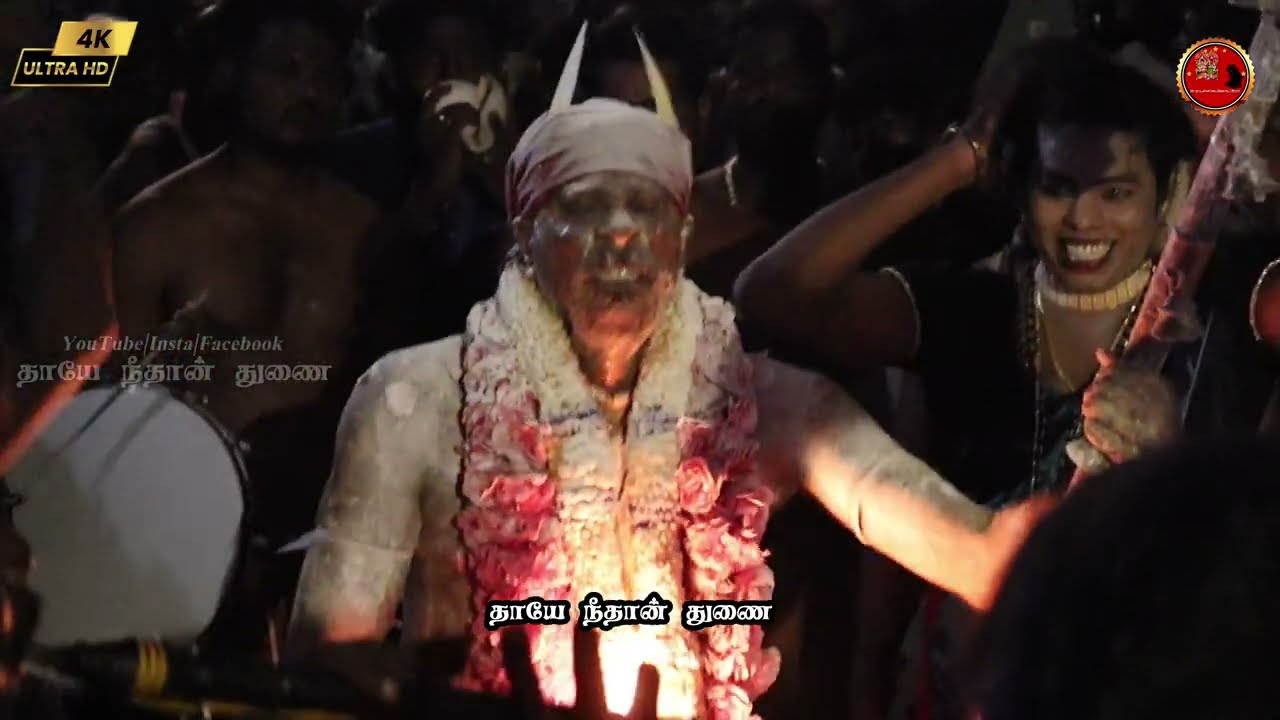 தோவாளை வடக்குமாசான மாயாண்டி வருகை சாம கொடை பூஜை #trending #viral #mayandi #koilkodai #video #sudalai