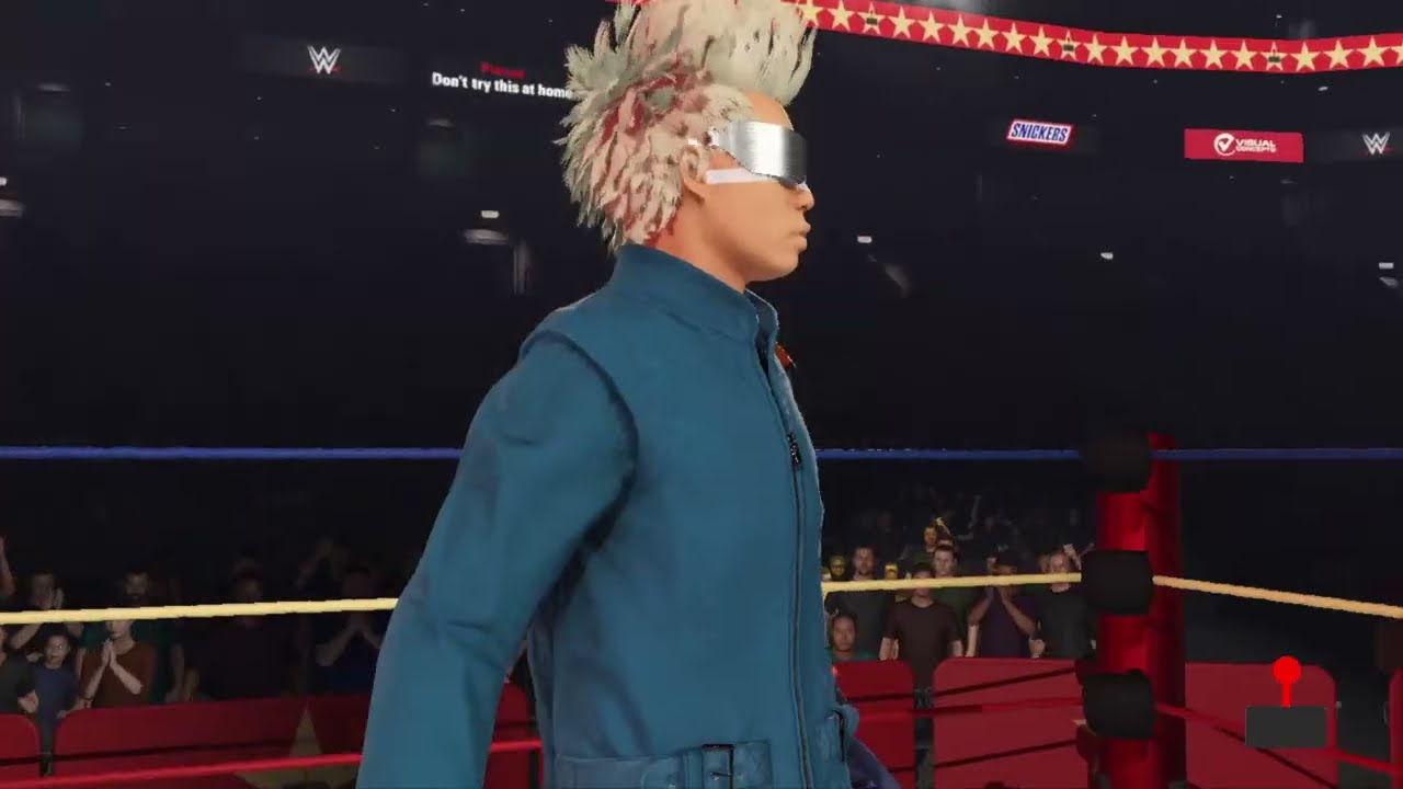 Videogame Allstars Wrestling