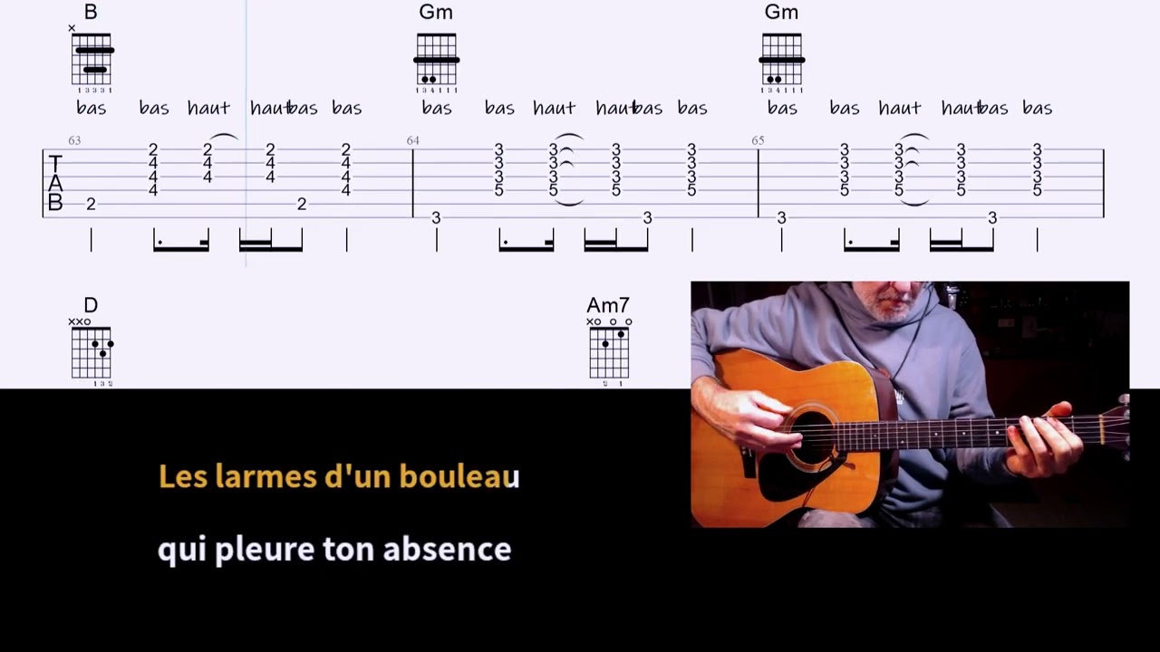 Les Chemins De Neige Axel Bauer  - Guitare chant paroles FACILE