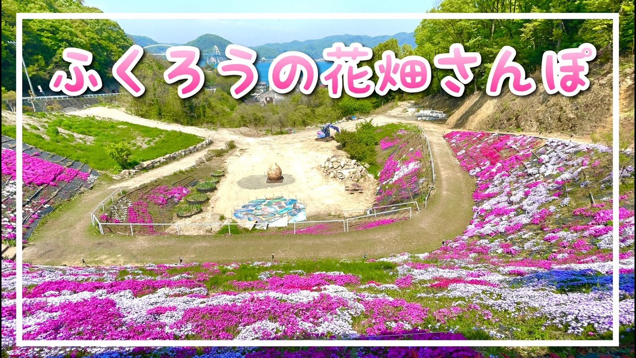 【ふくろうの花畑】内海町の芝桜スポットで海と内海大橋も眺める！（広島県福山市）／備後カメラ部【田島】