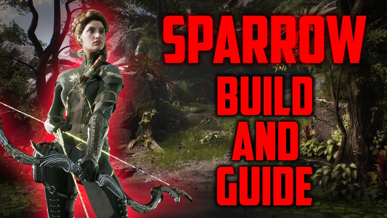 Paragon Sparrow Build & Guide - SEXY DESTRUCTION