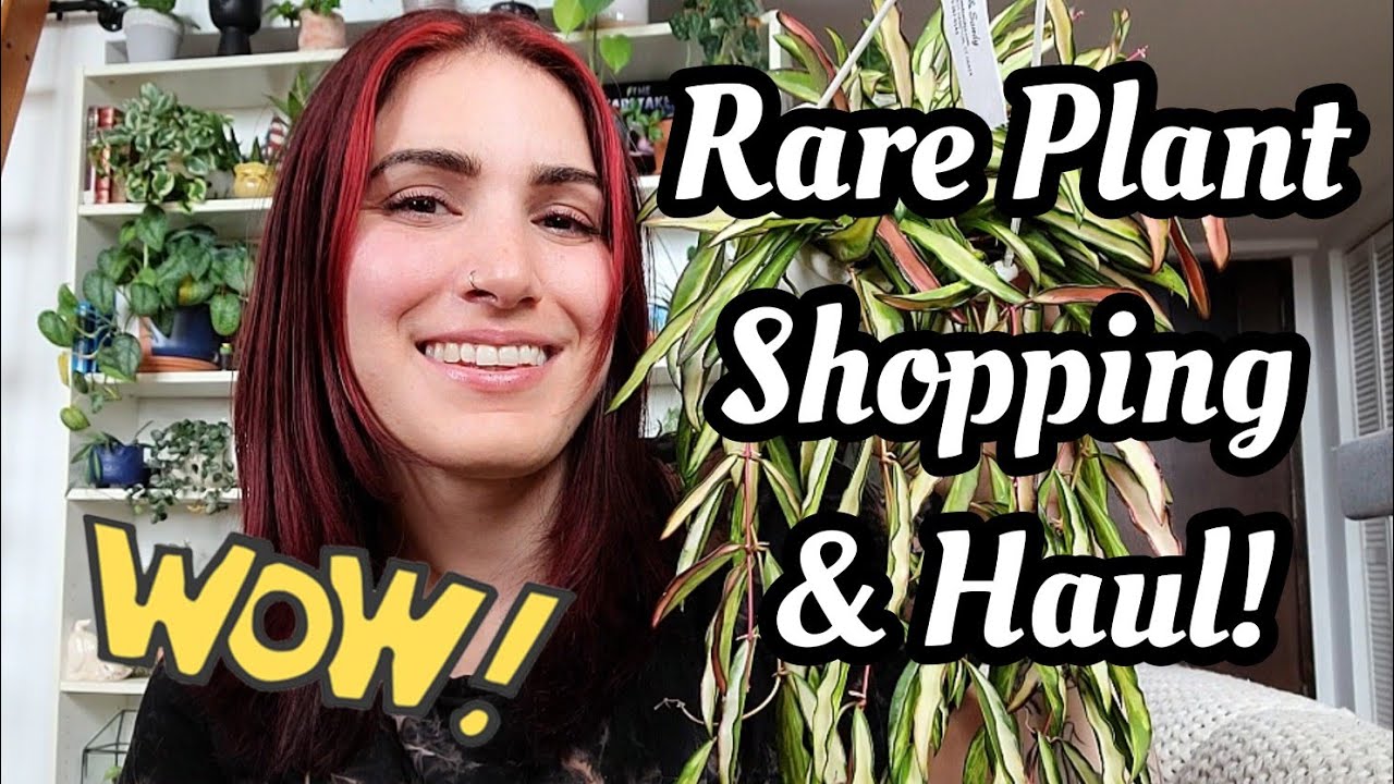 Rare Plant Shopping & Haul!! 🌿 SO MANY GORGEOUS PLANTS!! New Stock at Paul's & Sandy's 🌼💕