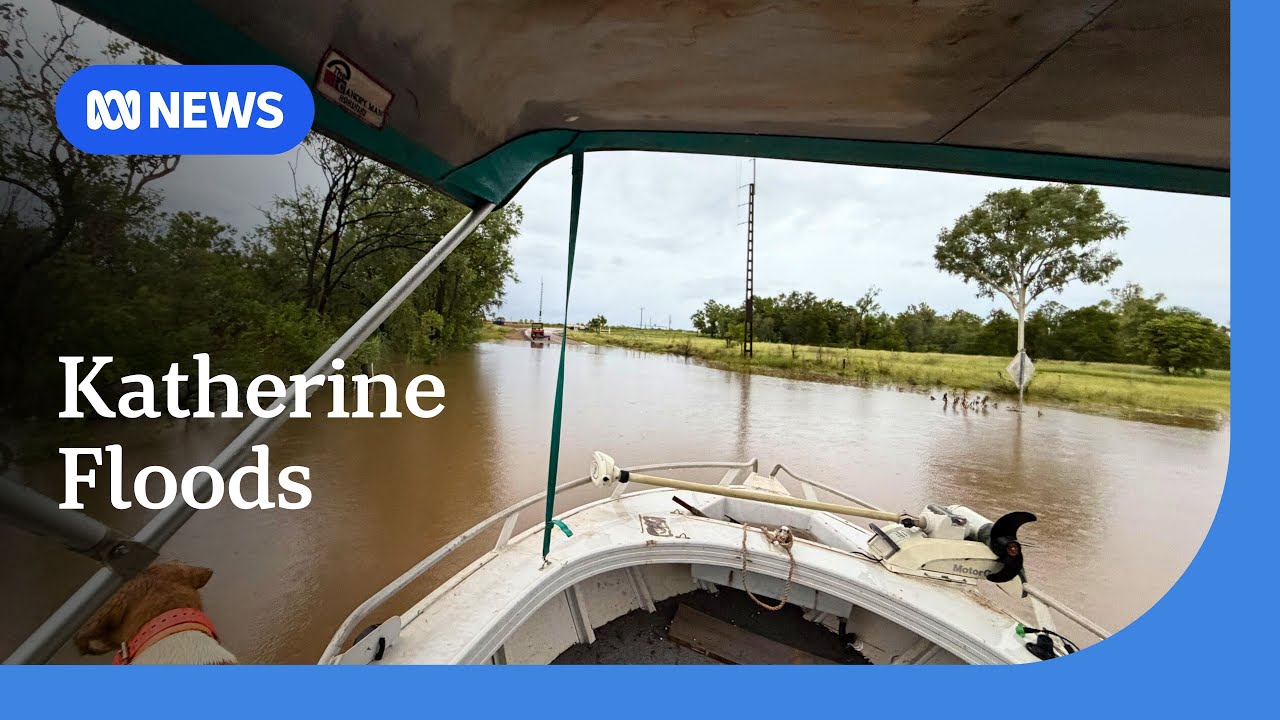 Locals on alert as the Katherine River reaches highest level in five years | ABC NEWS