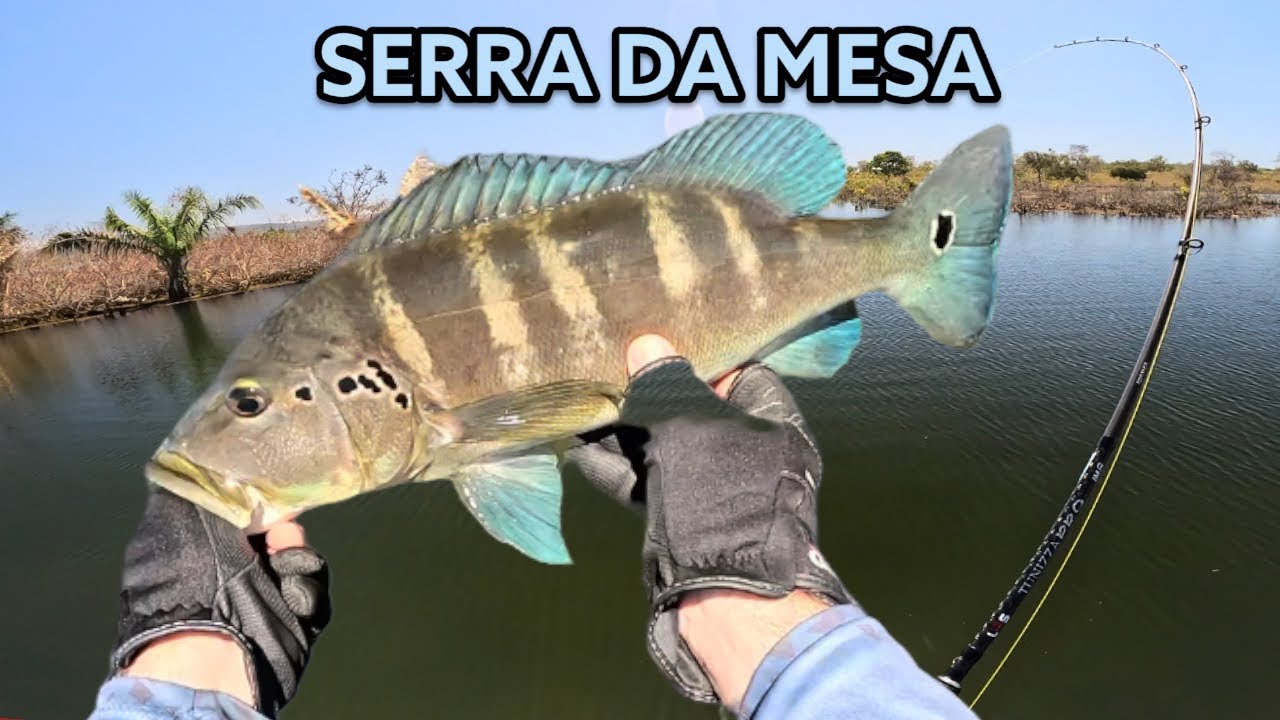 DESSA VEZ SERRA DA MESA ME SURPREENDEU, MUITOS TUCUNARÉS !!!