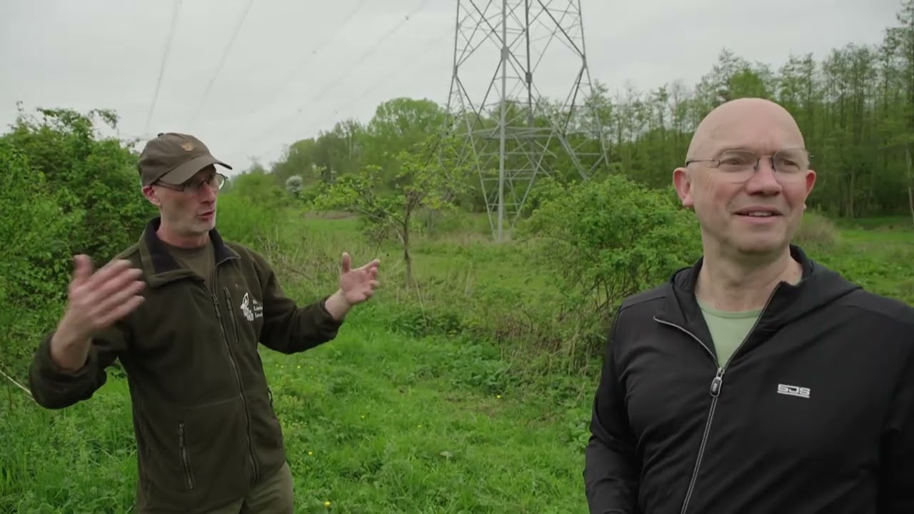 Hoe beheer je natuur rondom energiecentrales en onder hoogspanningsmasten? | Natuur en Zo