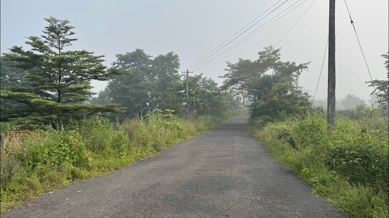 Agricultural land for sale in Raigad 8788035368