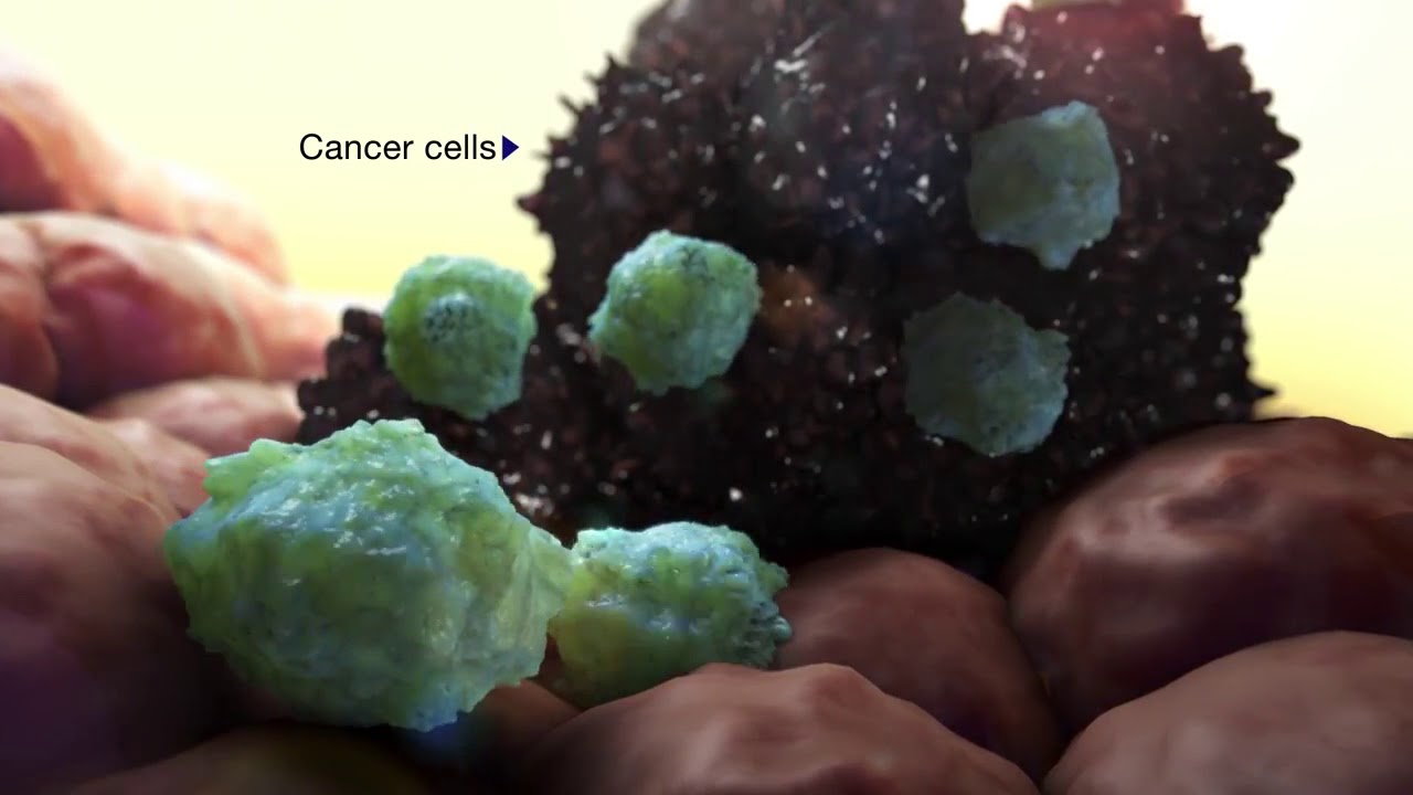 Adaptimmune SPEAR T-Cell Mechanism of Action Video