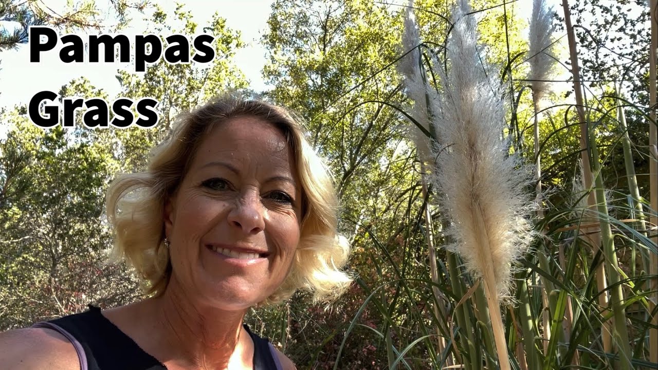 184 - Forbidden Grass?