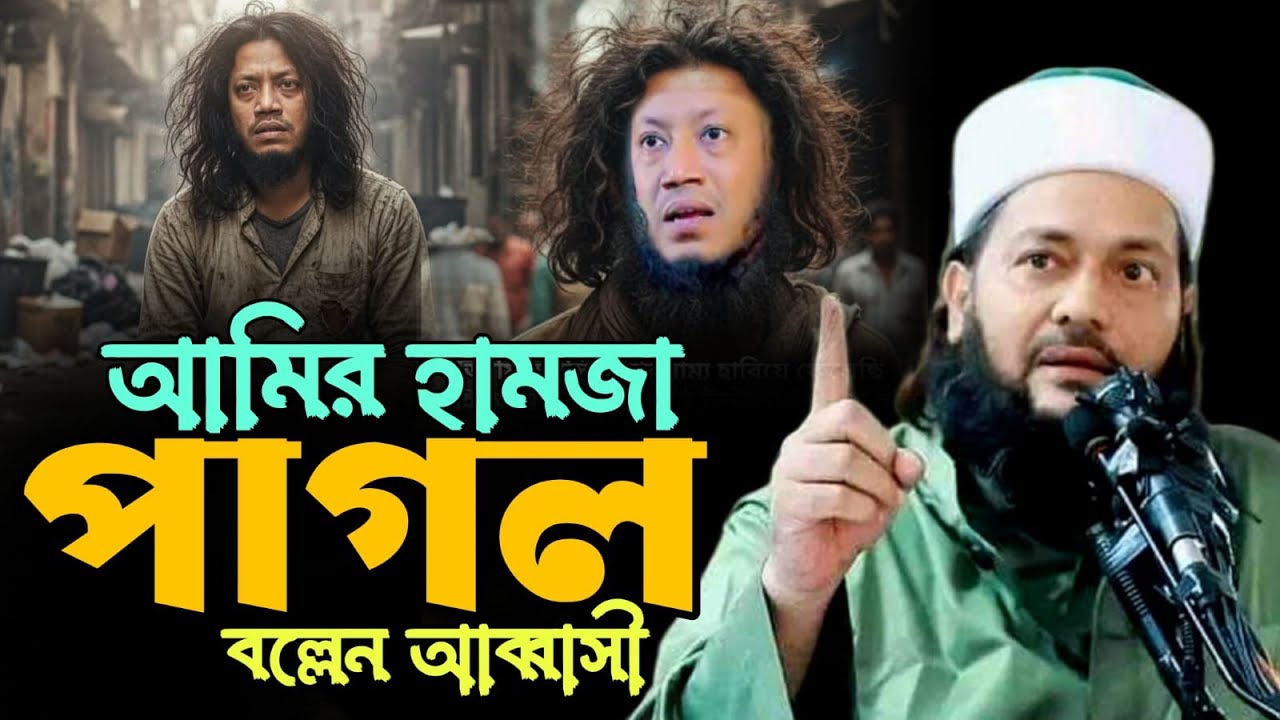 আমির হামজা কে পাগল বললেন আব্বাসী | New Waz Mufti Dr.Enaytullah Abbasi