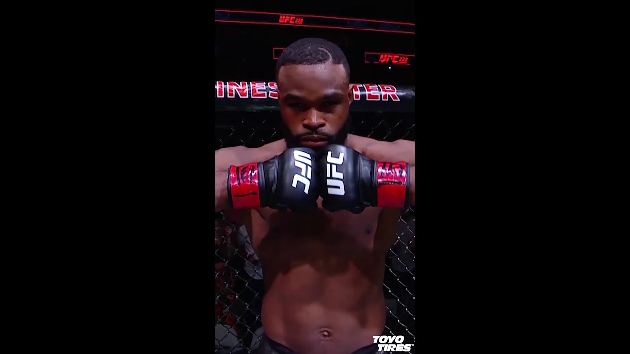 UFC 235 Free Fight Woodley VS Till