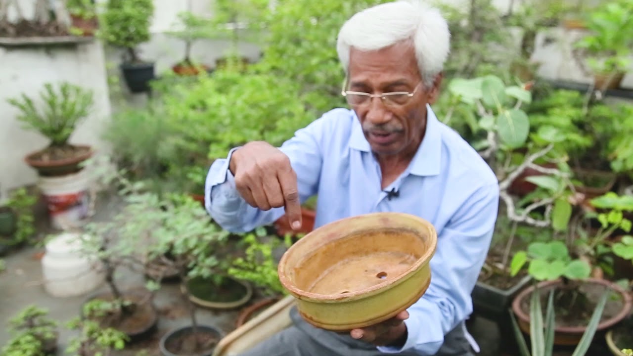 BONSAI POTS