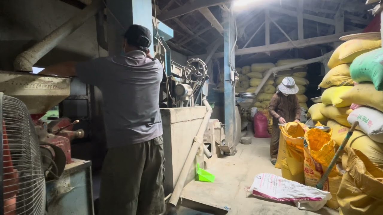 Một ngày yên bình bên gia đình nhỏ