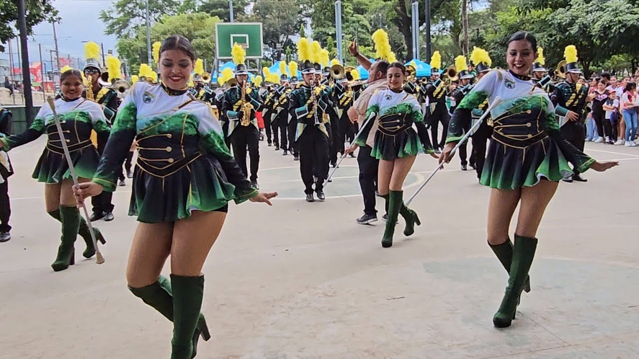 🐊 COCODRILOS MARCHING BAND  🎊 Festival de la Juventud 2024