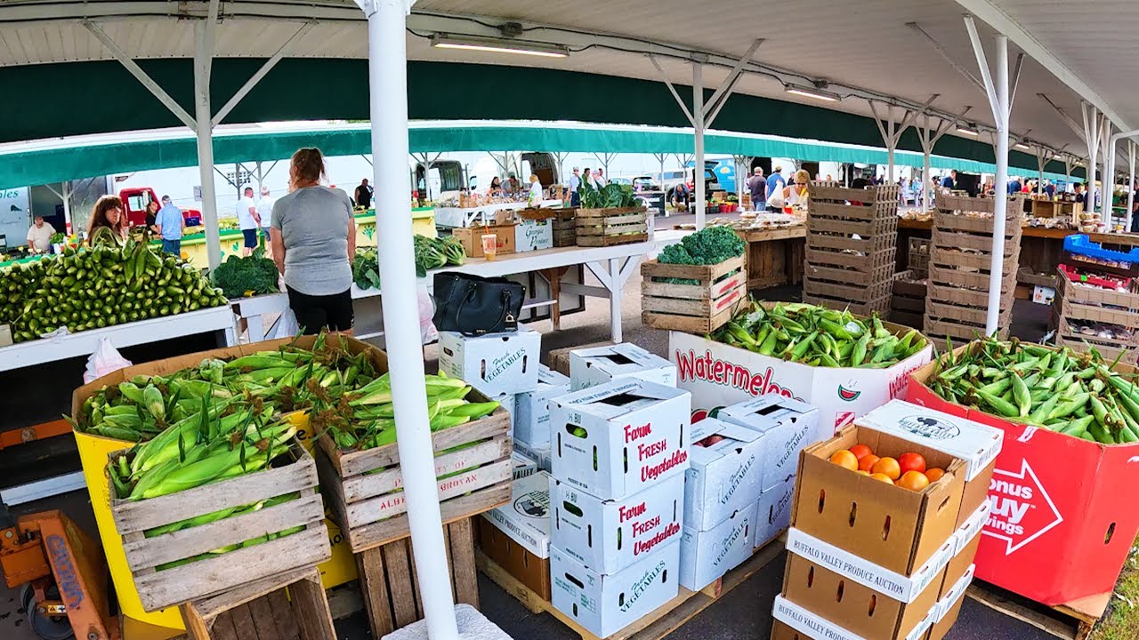 Selling 2,500 Sweet Corn In One Day