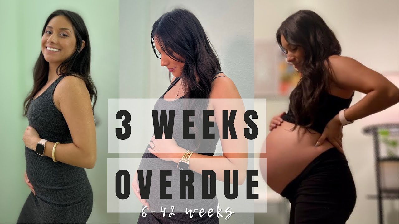 BELLY GROWTH PREGNANCY TRANSFORMATION | Week by Week Progress (6-42 Weeks)