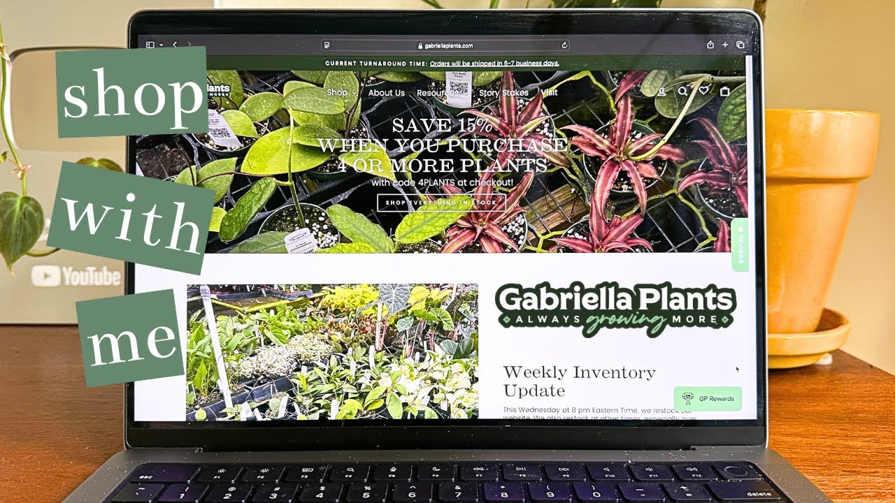 Online Shop With Me | Gabriella Plants