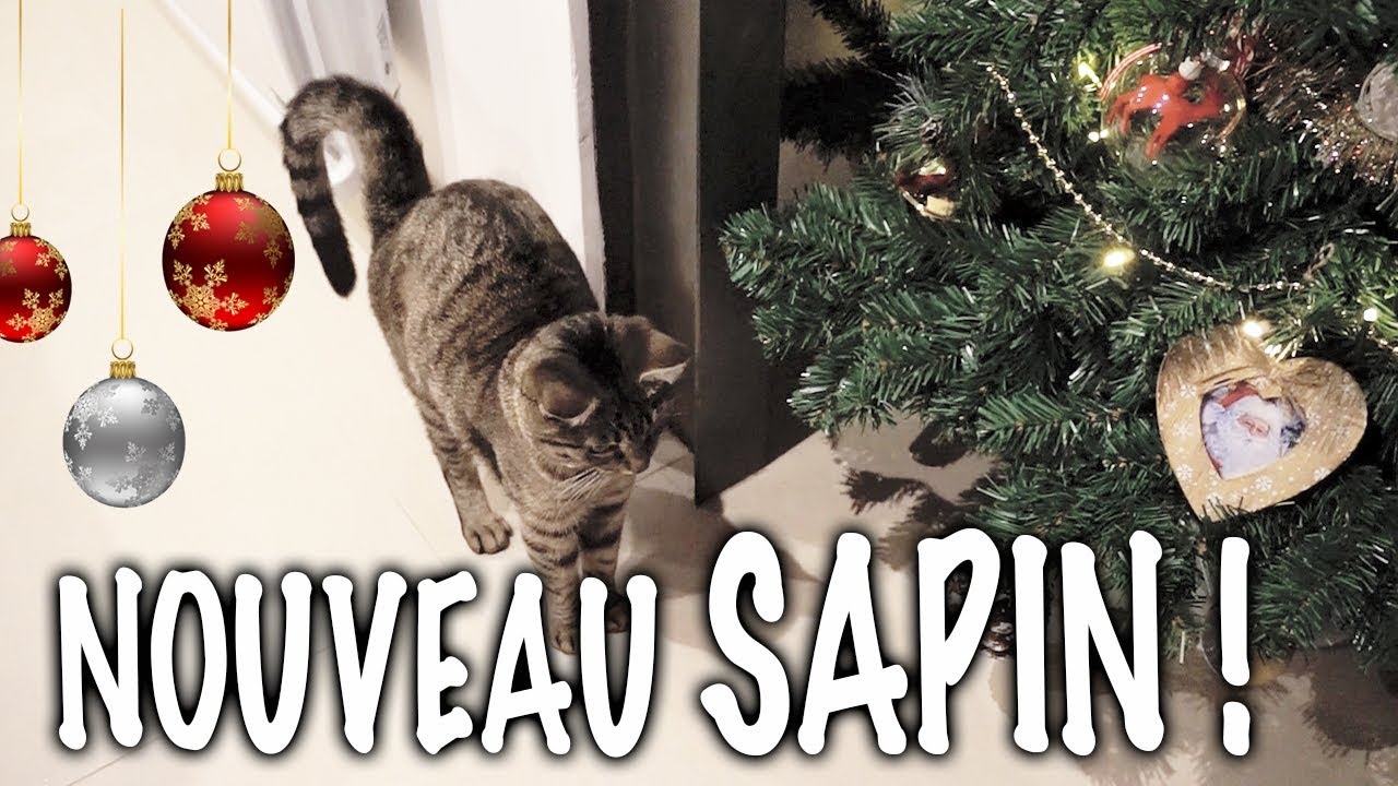 JE TESTE LES VLOGMAS ?! ♡