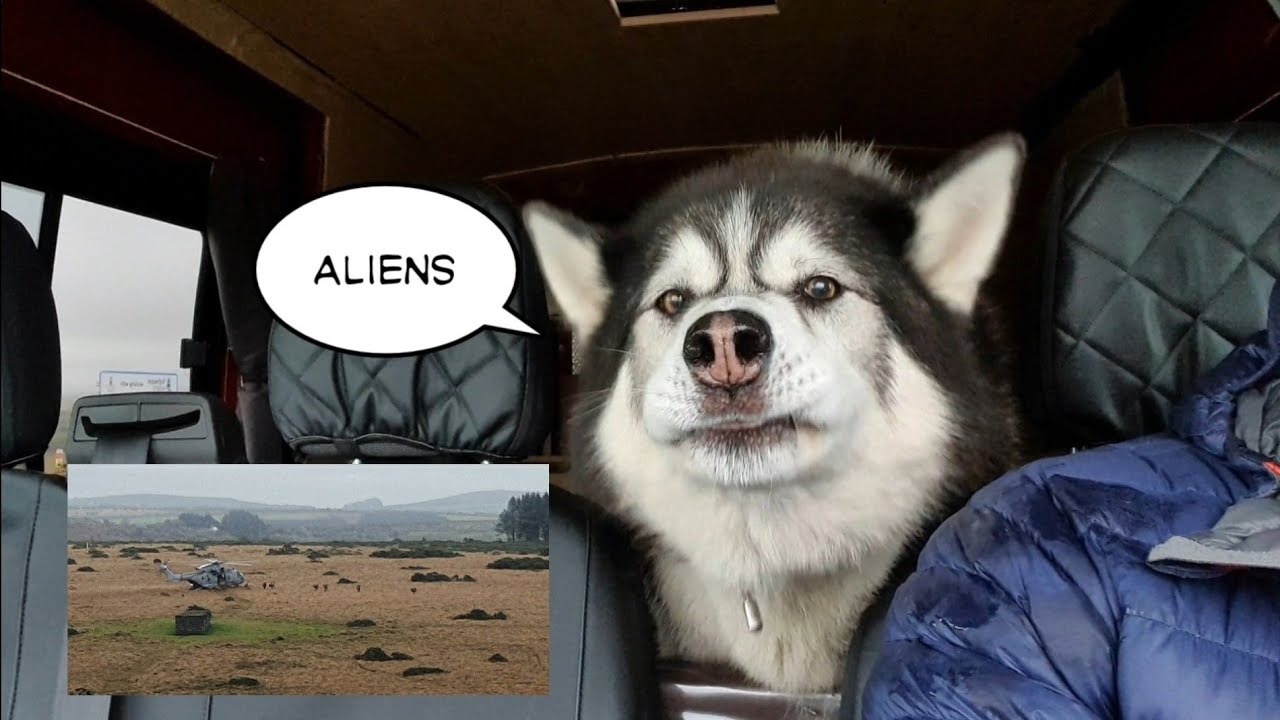 The conversations between me and my Dog are Priceless