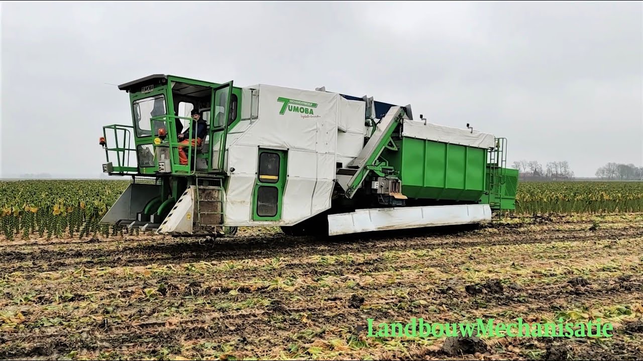 Eerste automatische spruitenplukker van Tumoba
