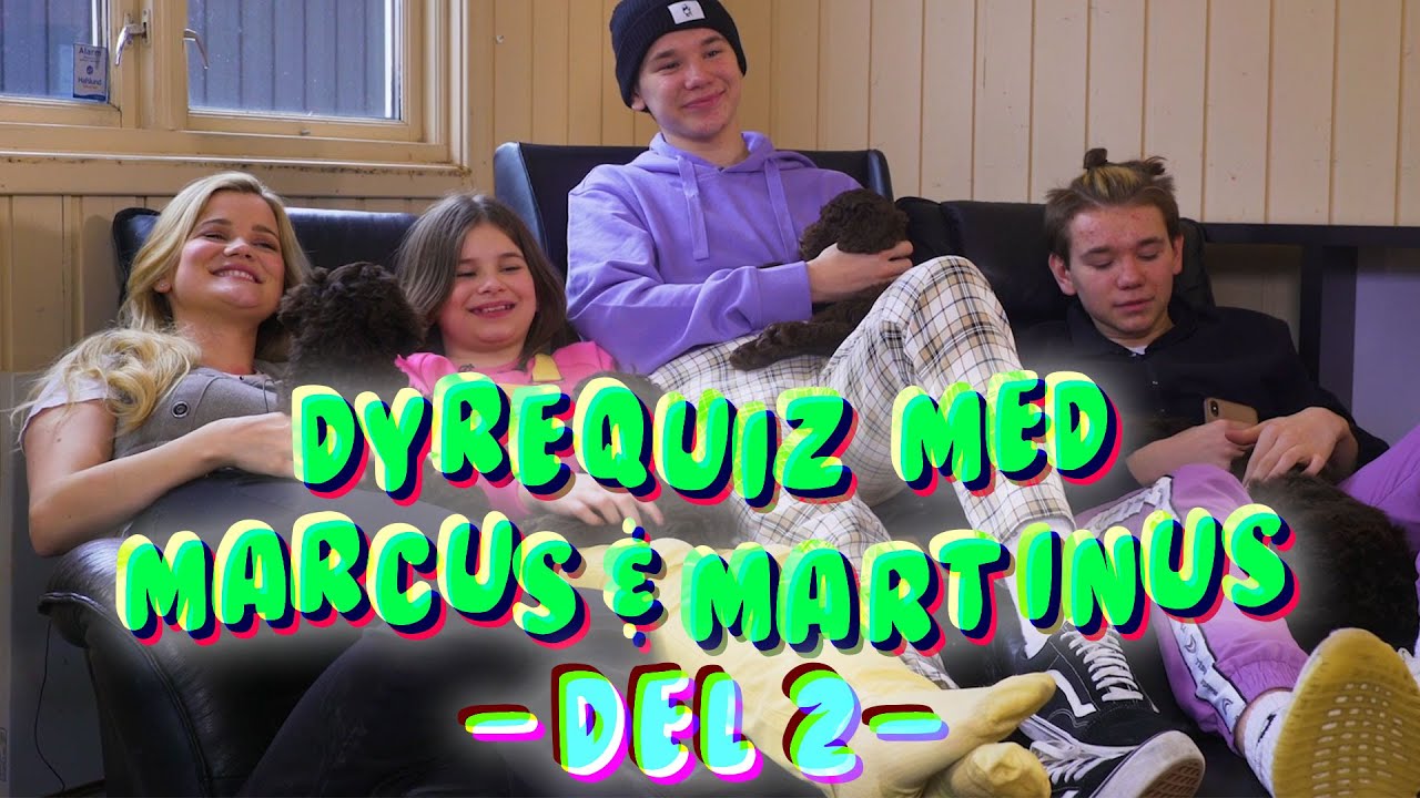 DYREQUIZ med Marcus & Martinus! Del 2