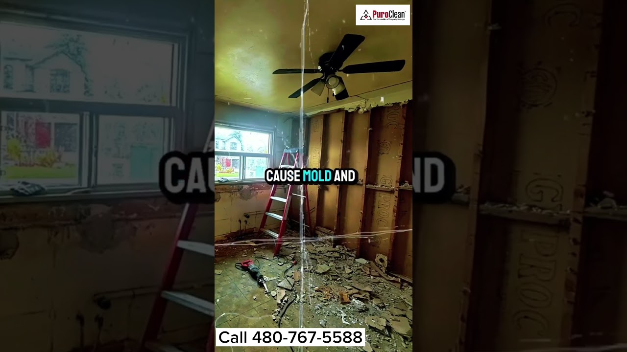 Water Damage Restoration Near Me | Expert Cleanup in Scottsdale, AZ