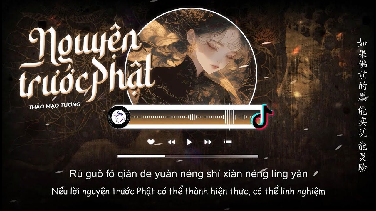 [Vietsub] Nguyện Trước Phật - Thảo Mạo Tương | 佛前愿 - 草帽酱